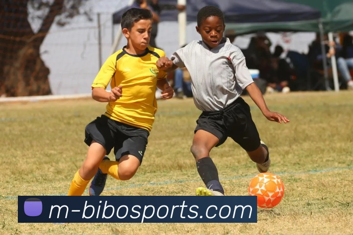 体育下注APP 封面图