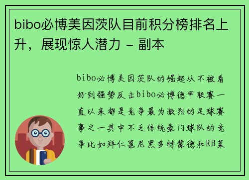 bibo必博美因茨队目前积分榜排名上升，展现惊人潜力 - 副本